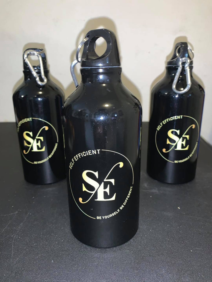 Aluminum Water Bottle with Carabiner